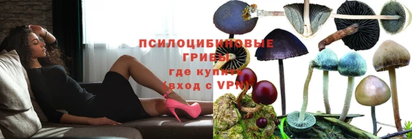 каннабис Белокуриха