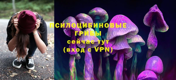 mdma Гусев
