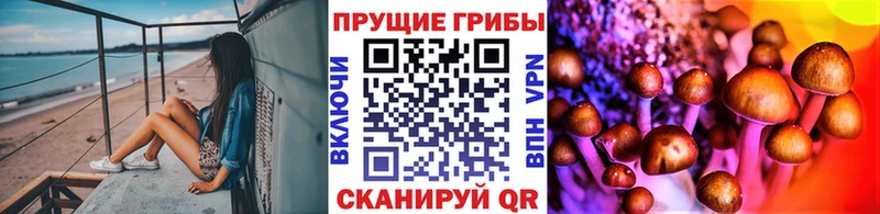 Галлюциногенные грибы Cubensis  закладки  omg ТОР  Сегежа 