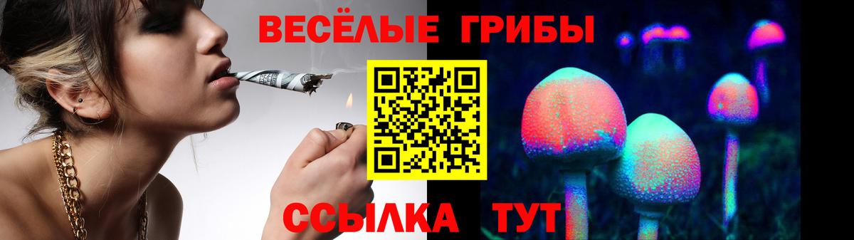 Сегежа  Галлюциногенные грибы ЛСД  Вход с VPN 