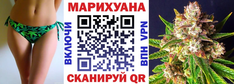 наркотики Сегежа Шишки марихуана OG Kush